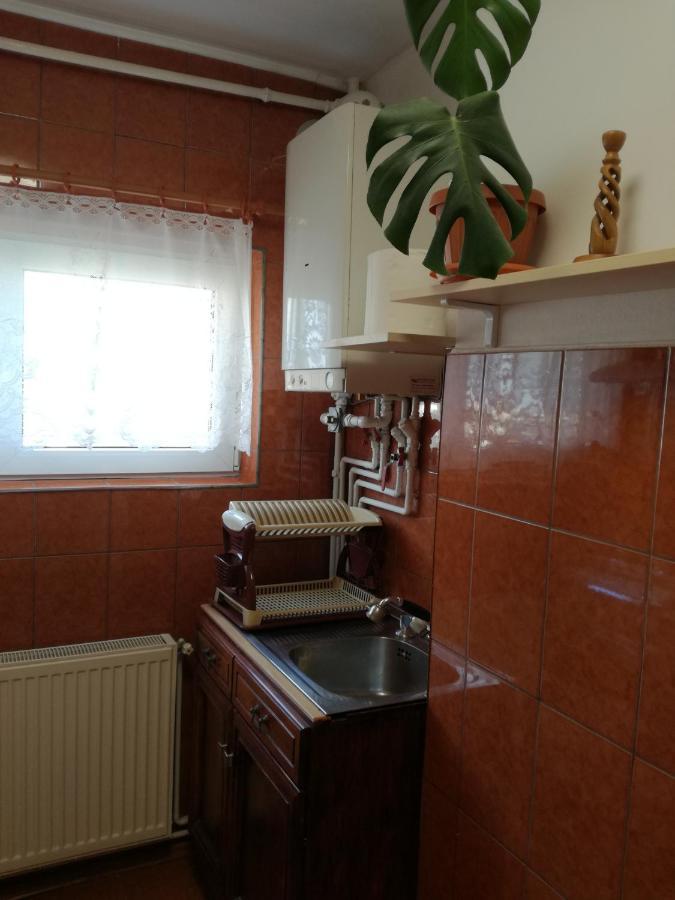 Sara Apartman Târgu-Mureş Exterior foto